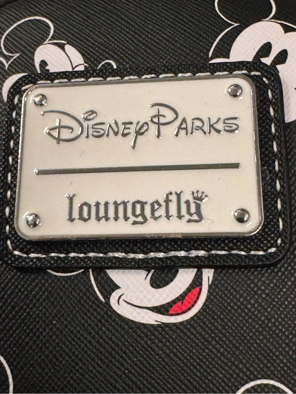 disneyland stylish disney